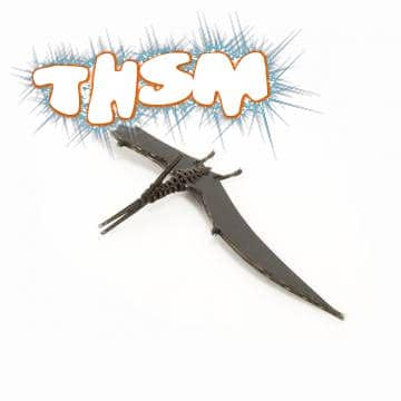 Pteranodon 3D Puzzle Laser Cut Free Vector cdr Download - 3axis.co