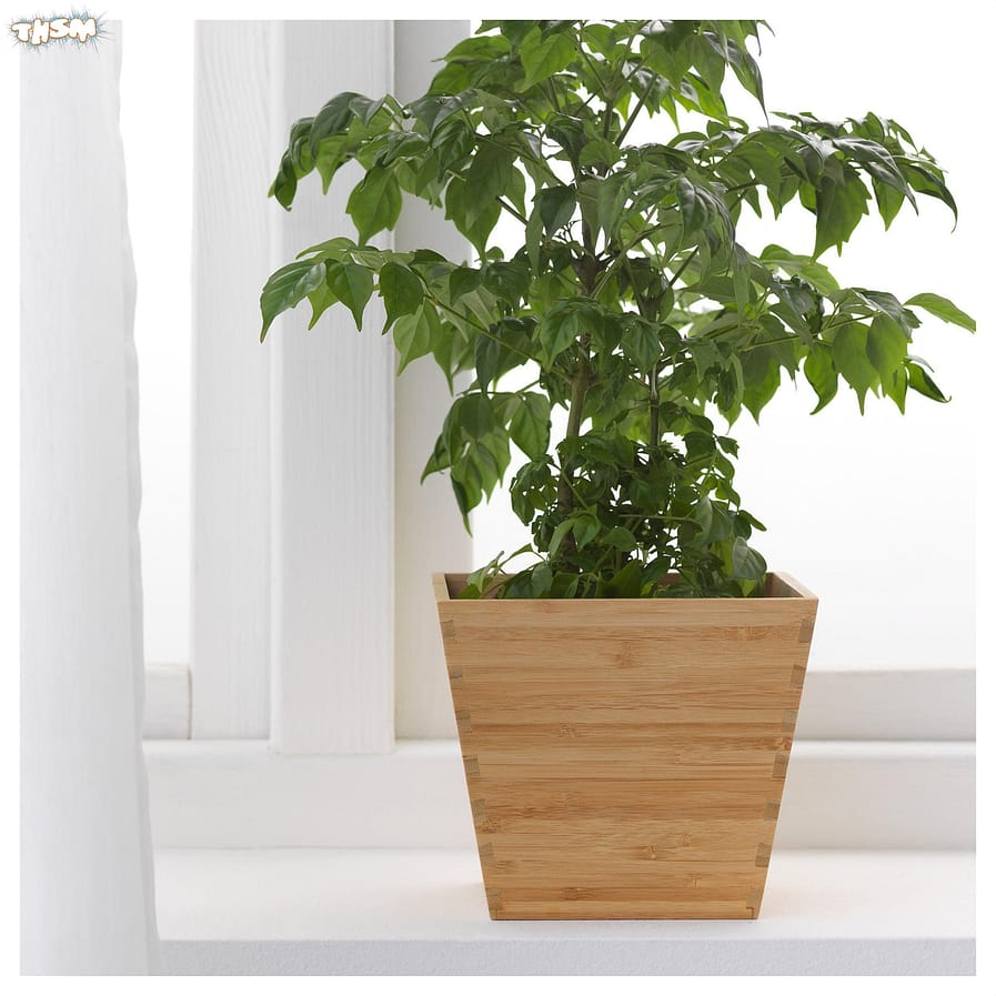 Laser Cut Wooden Plant Pot Flower Holder Free Vector