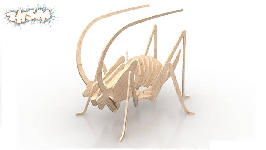 3D Cricket Insect 3mm DXF File Free Download - 3axis.co